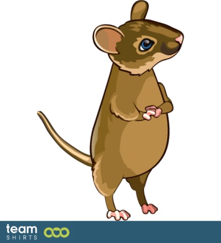 mice
