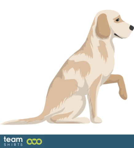 08 dog vectorstock 6728371