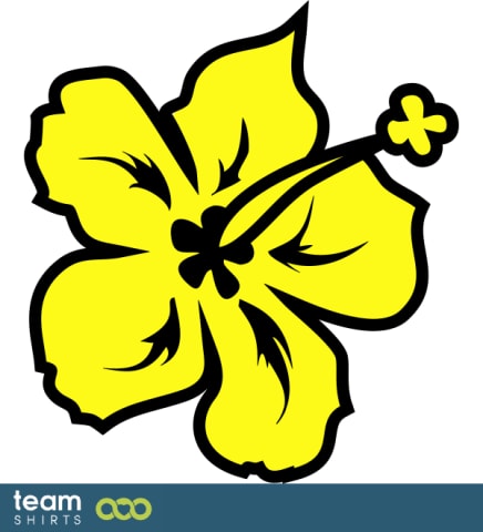 Hawaiian lei