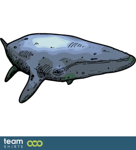 Blue Whale