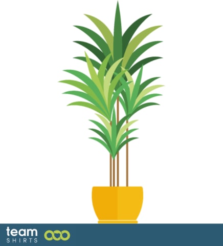 indoor palmtree