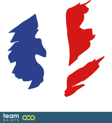 French flag vintage
