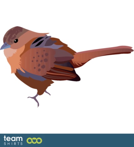 tanager