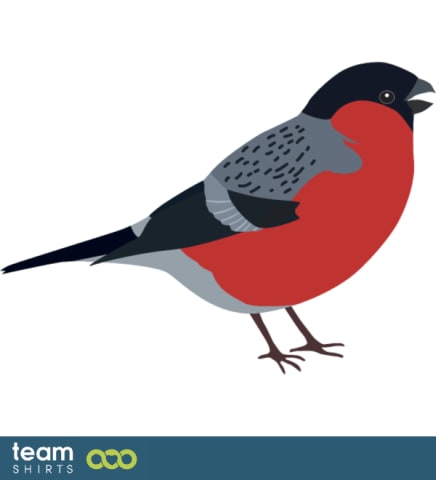 bullfinch