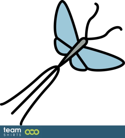 Insect