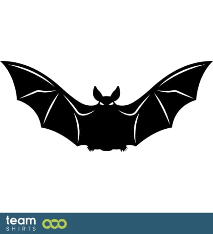 Bat