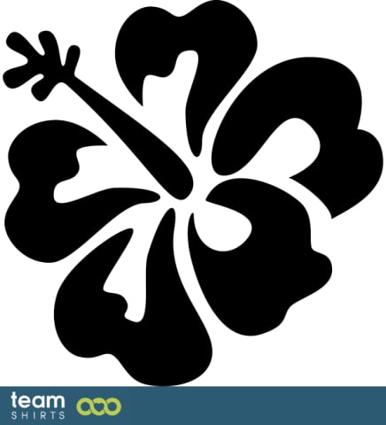 Hawaiian lei