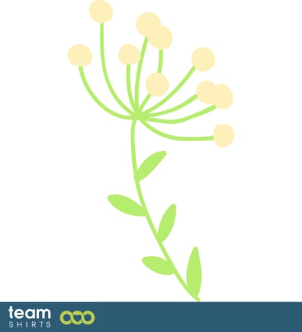 grass plant