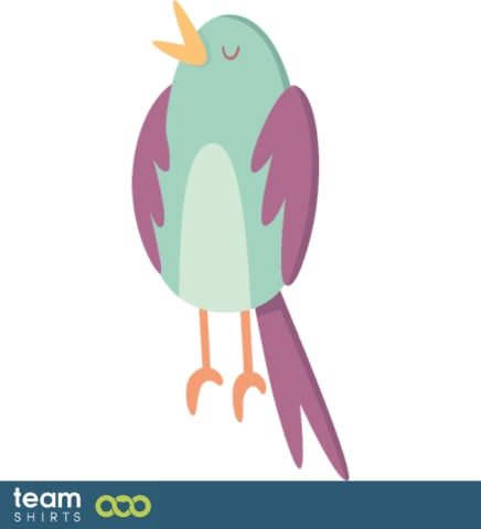 little bird