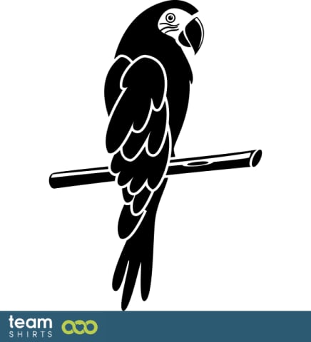 parrot