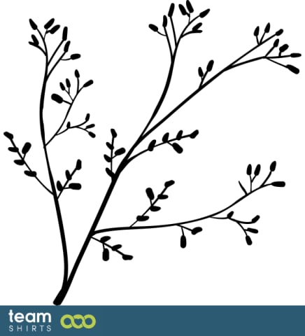 grass plant