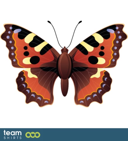 Small tortoiseshell