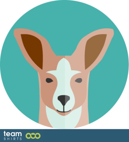 Lama in circle