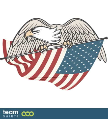 USA flag