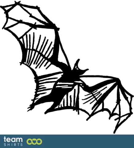 bat