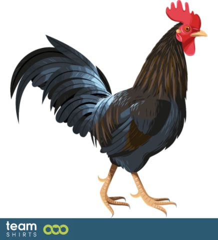 Rooster