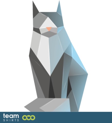 geometric cat