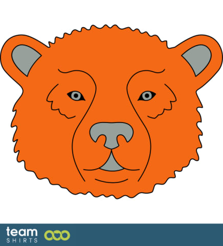 Bear face