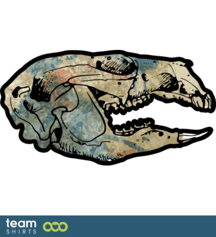 donkey skull