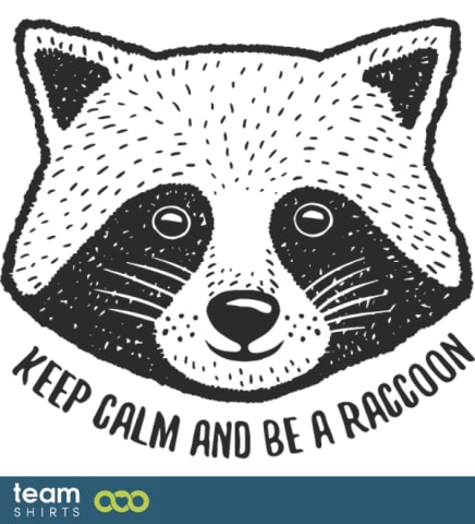 keep calm raccoon