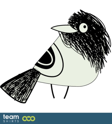 funny bird
