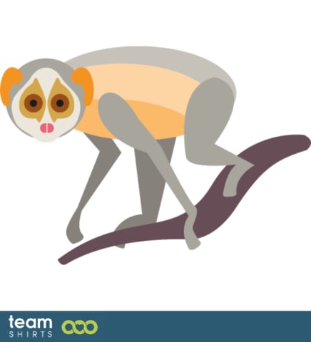Slow loris