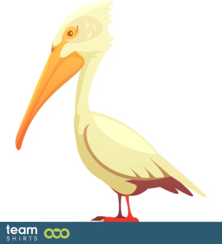 pelican