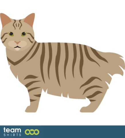 Vectorstock 10334014AmericanBobtailpng0140