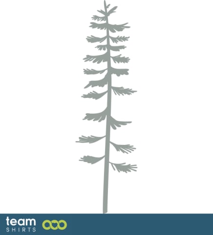 pine tree