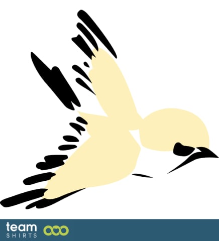 sparrow
