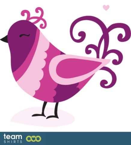 little bird