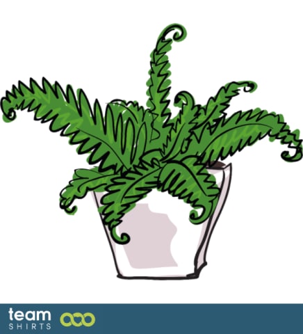 indoor plant