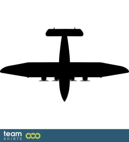 S 42 airplane