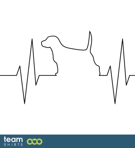 ECG dog
