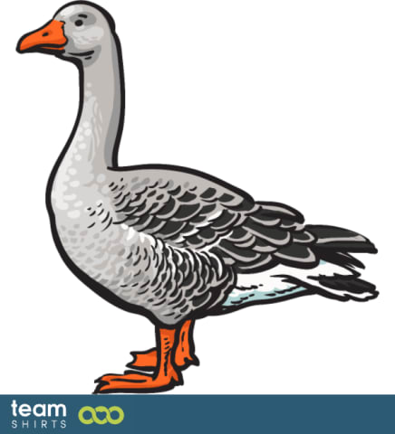 goose
