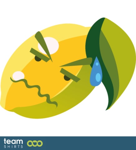 11 lemon vectorstock 8038615