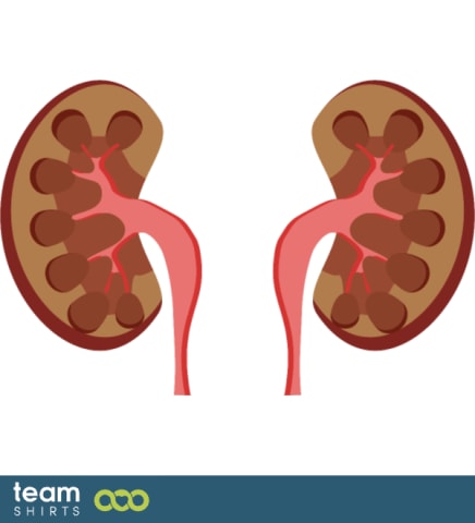 Kidneys