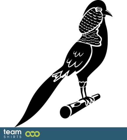 capercaillie