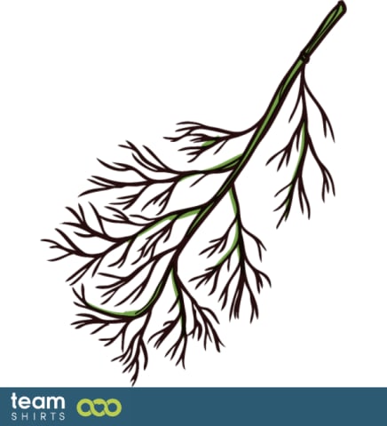 Dill plant