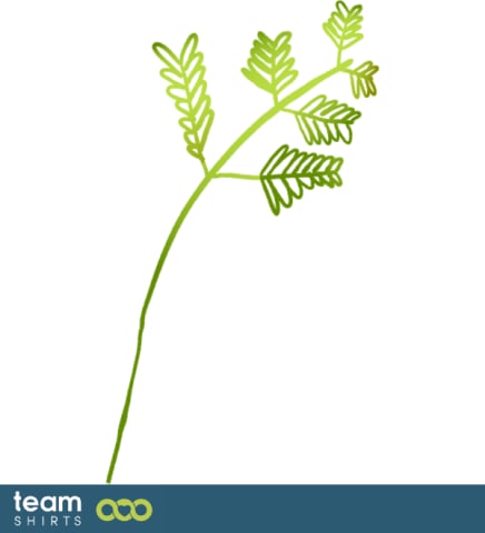 Branch