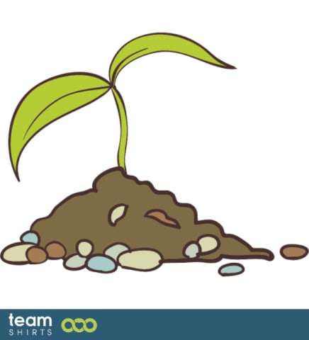 sprout
