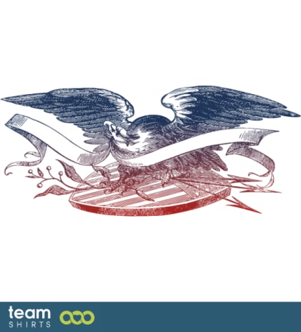 USA eagle