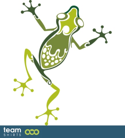 Ornamental frog