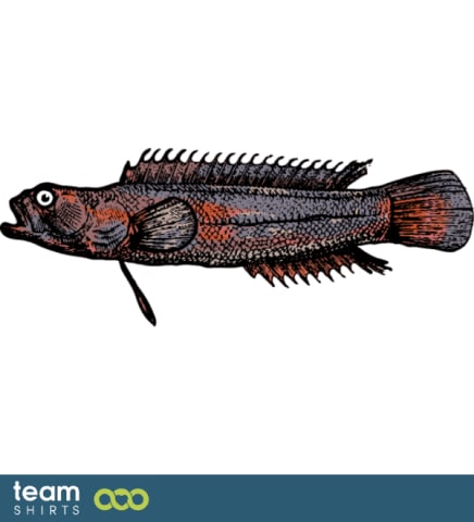 exotic fish