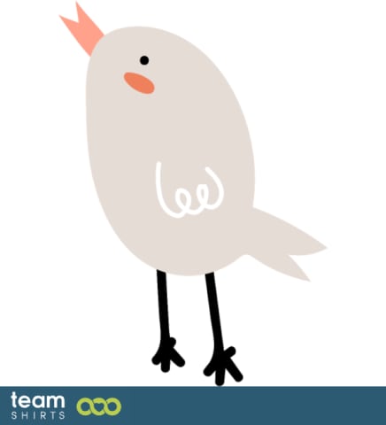 little bird