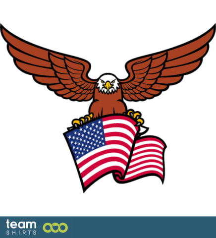 USA eagle