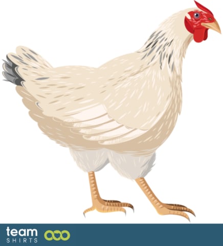 Realistic chicken
