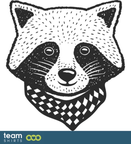 raccoon scarf