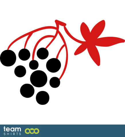 wine grapes