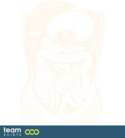 Anatomical body